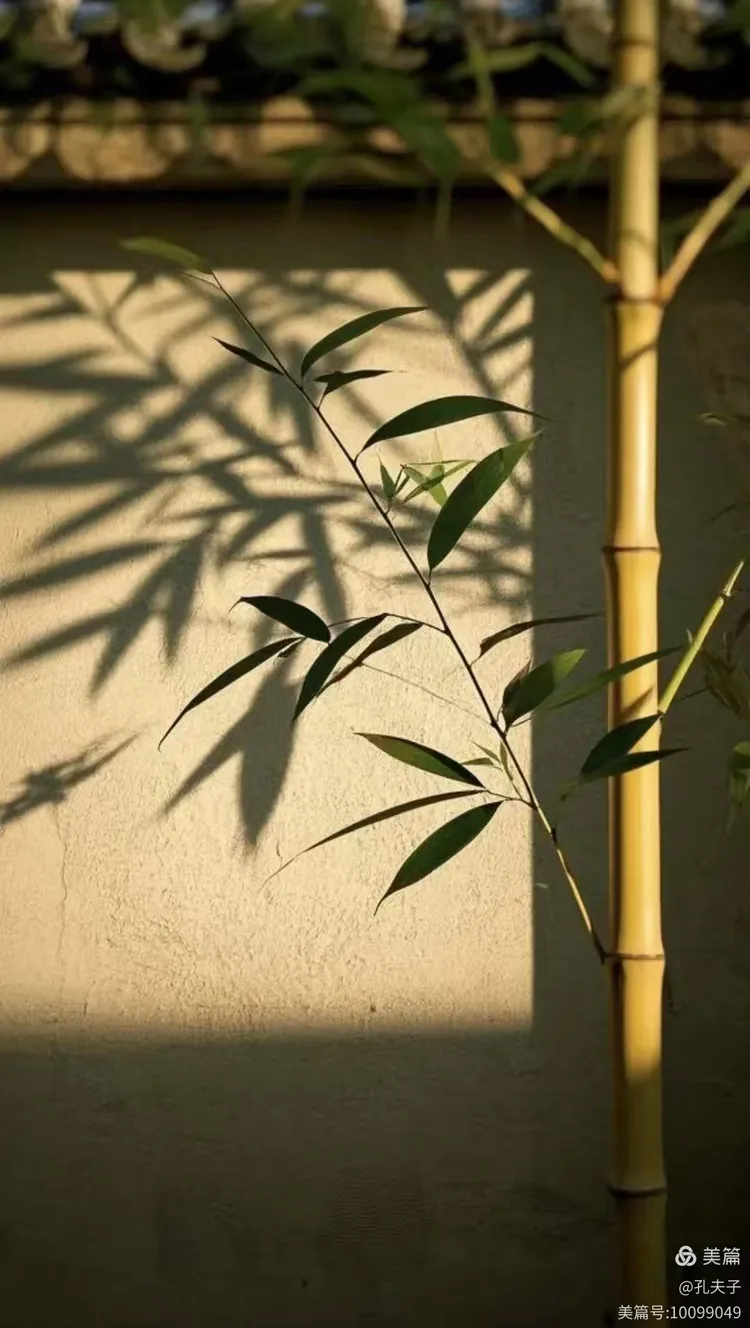 西窗下，风摇翠竹。